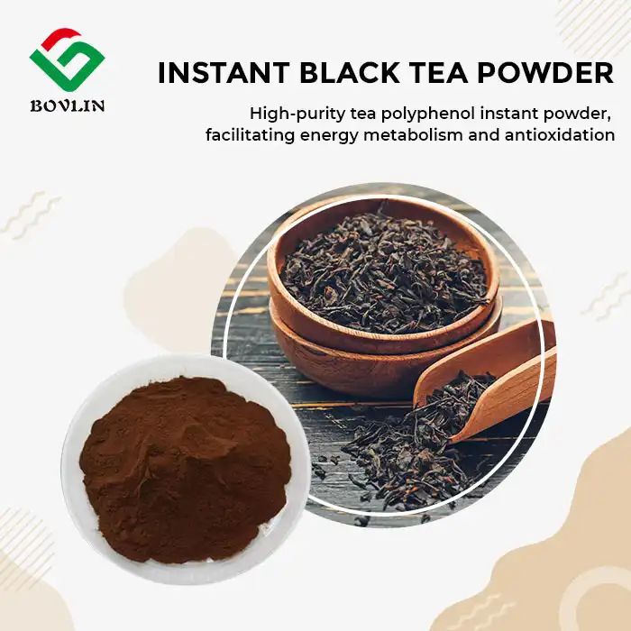 Instant Black Tea Extract Powder